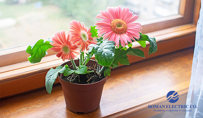 indoor air quality, iaq, indoor air quality solutions, indoor air quality solution, spring, spring allergies